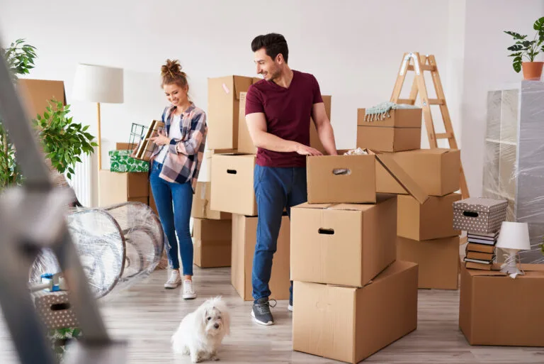 cheap and best movers